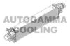 AUTOGAMMA 107550 Intercooler, charger